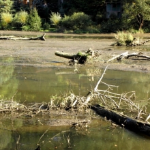 Dokumentace sedimentu s naplaveninou v prostoru přehrady-1